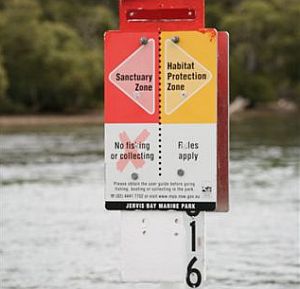 Image: Shane Chalker